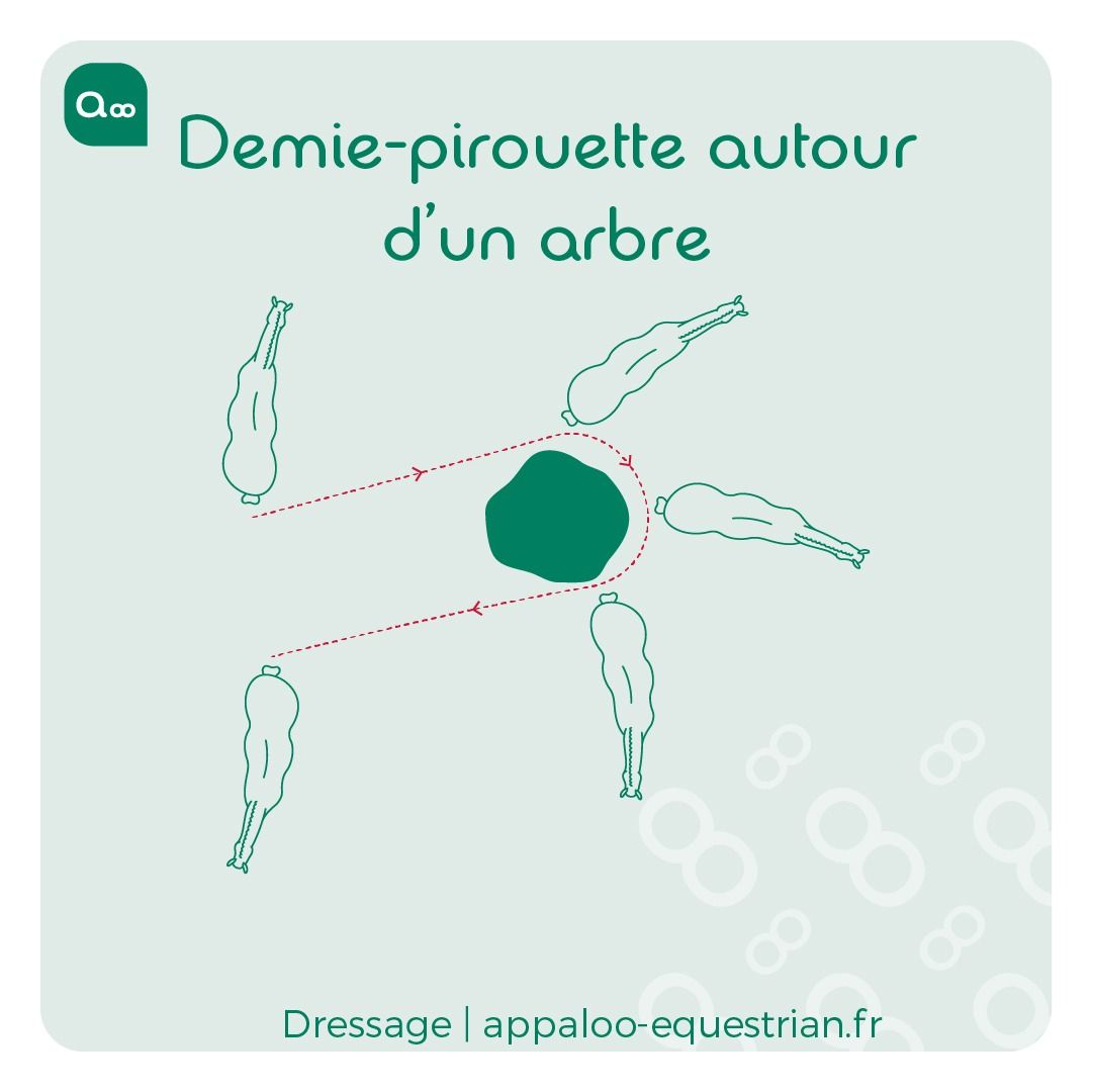 35 millilitres en centilitres