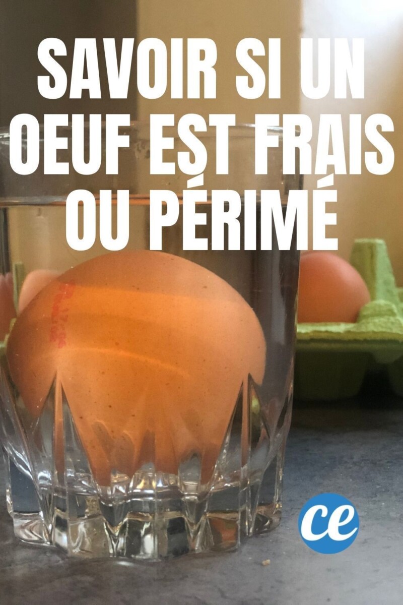 Test fraîcheur œuf eau