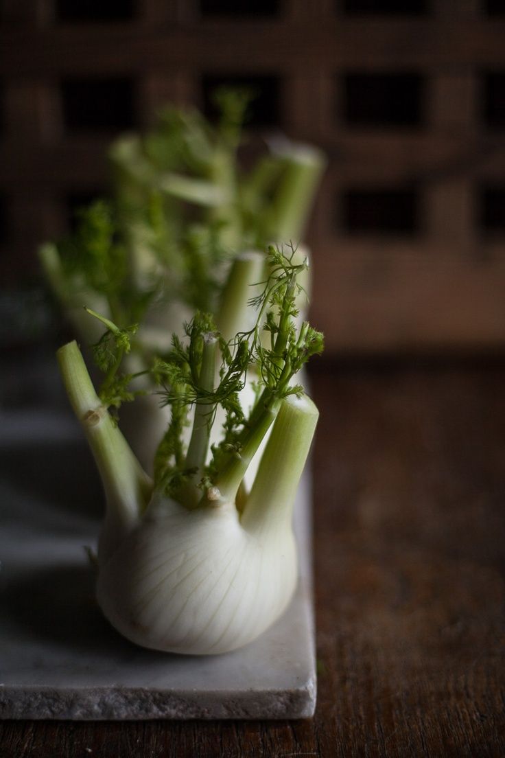 Jus de fenouil photographie