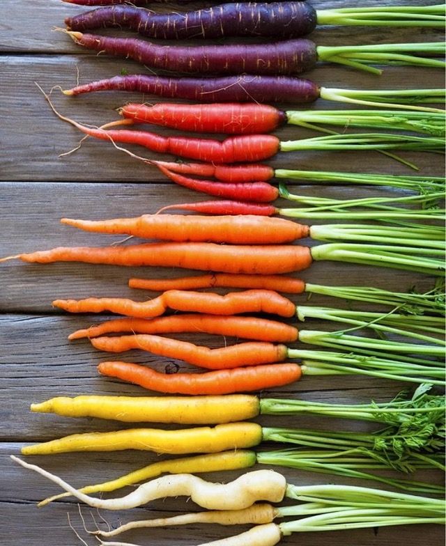 Légumes racines tropicaux