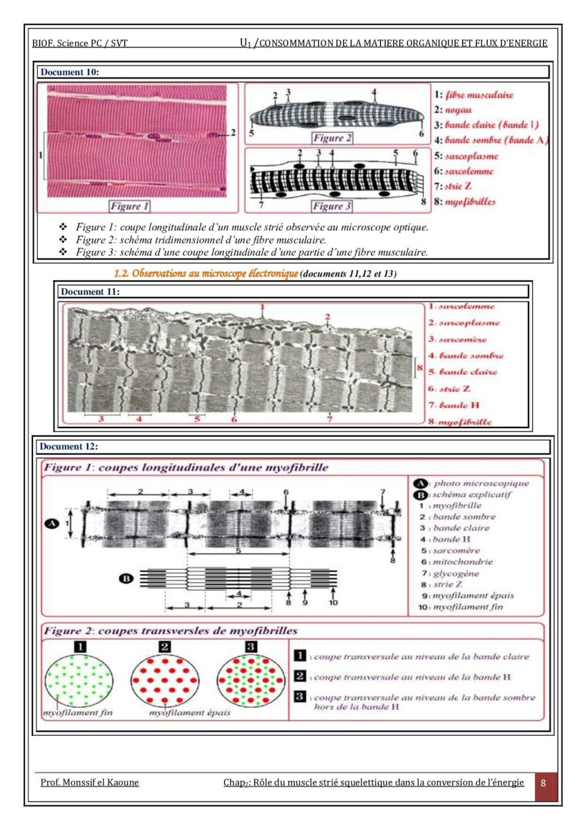 Mesure décilitre esthétique