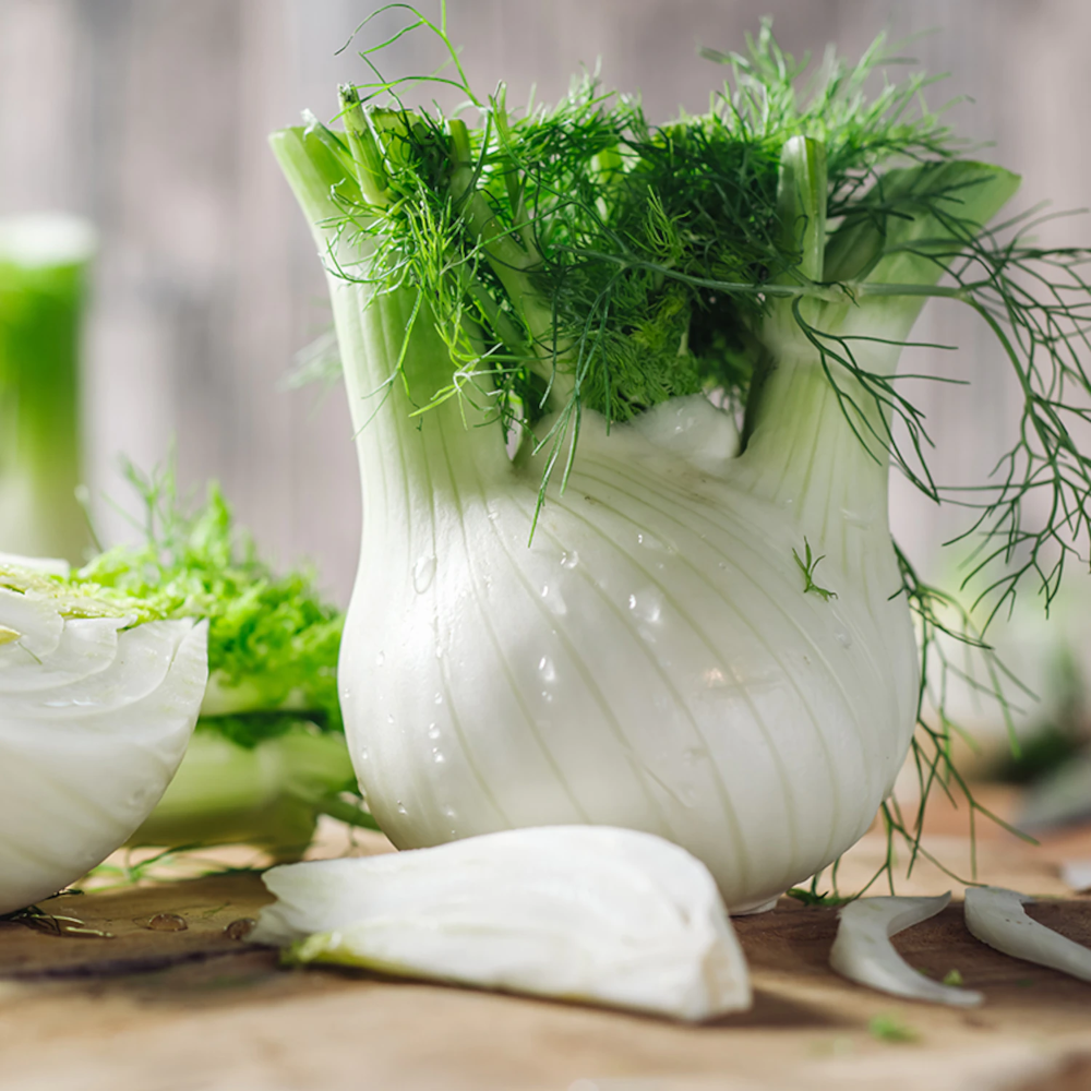 Jus de fenouil photographie