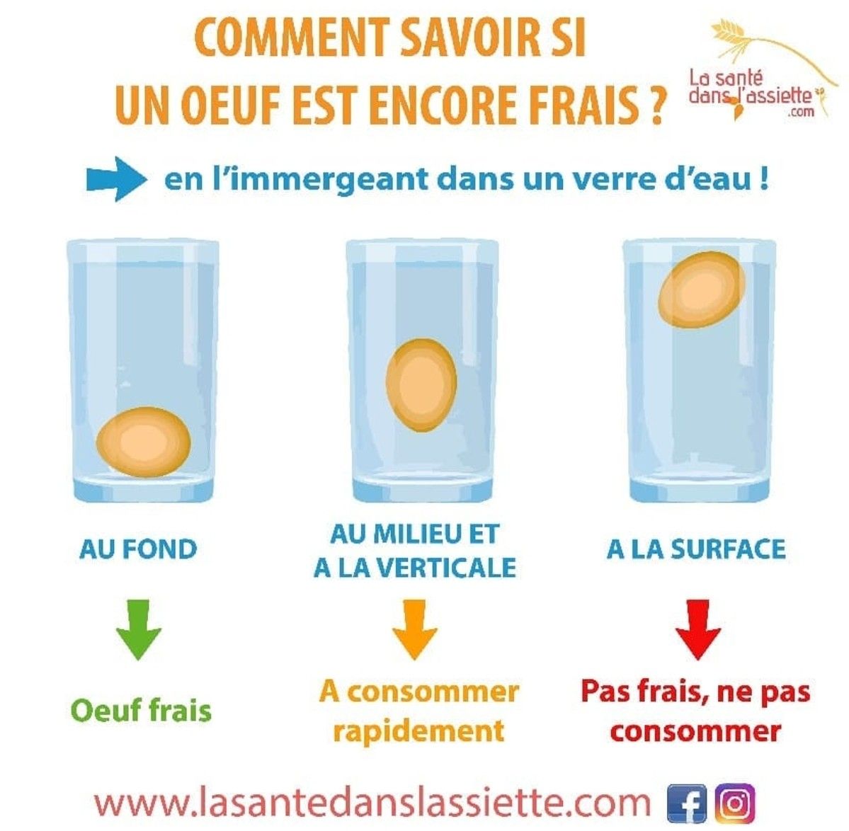 Test fraîcheur œuf eau