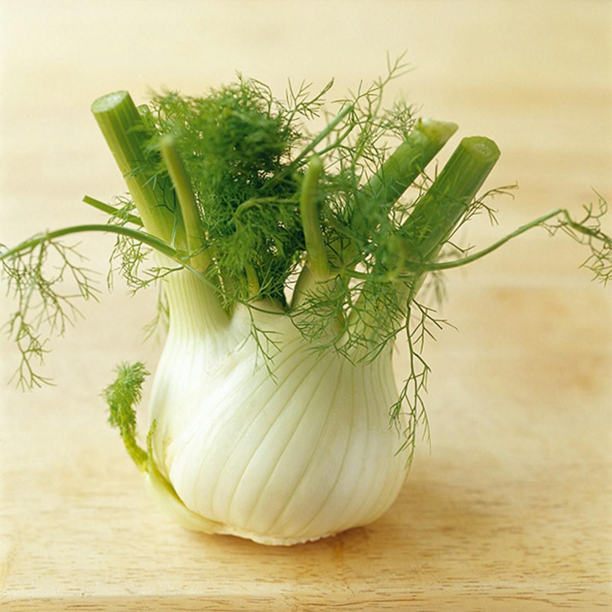 Jus de fenouil photographie