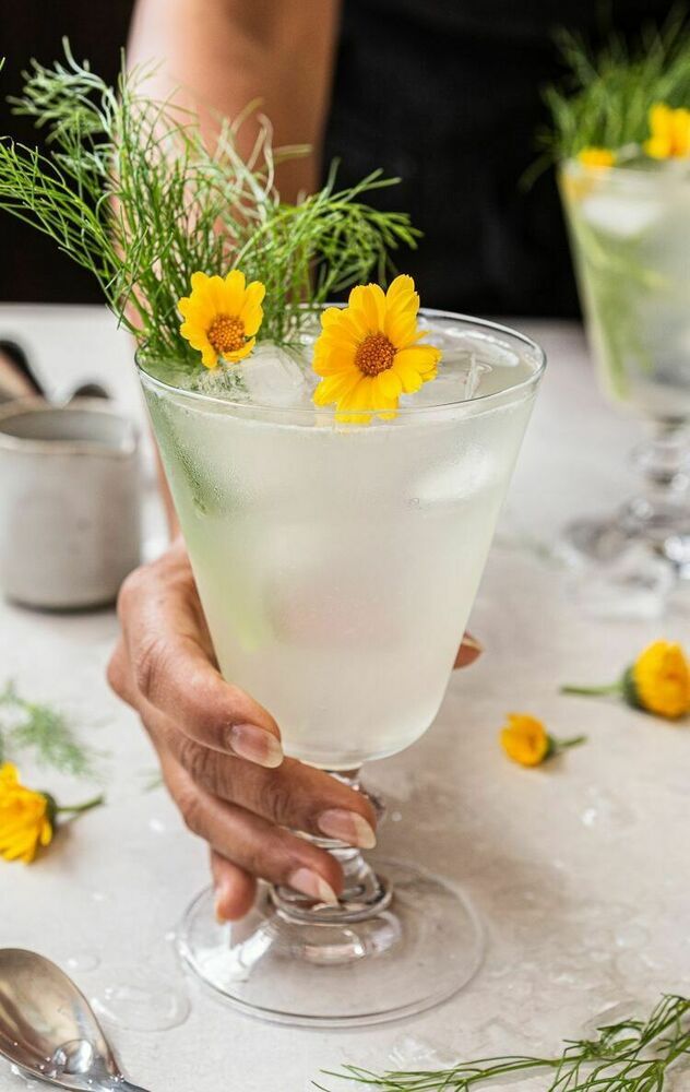 Jus de fenouil photographie