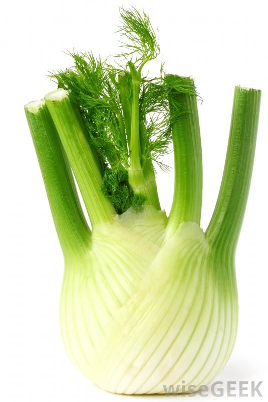 Jus de fenouil photographie