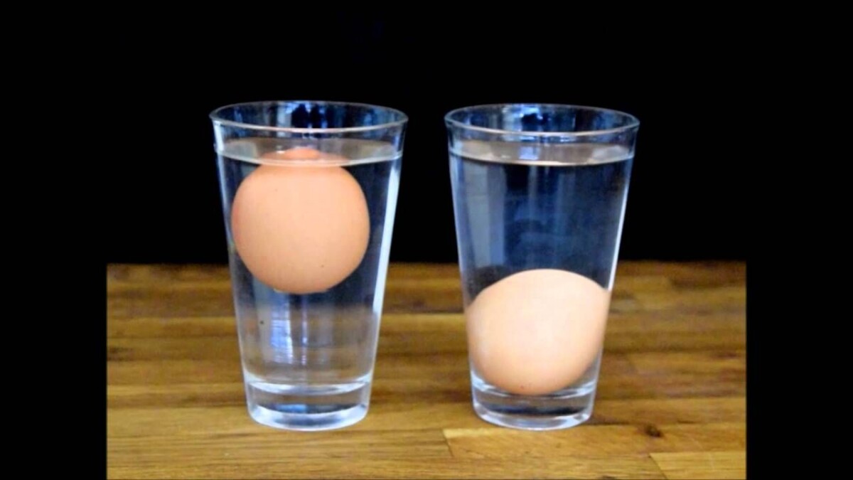 oeuf qui flotte
