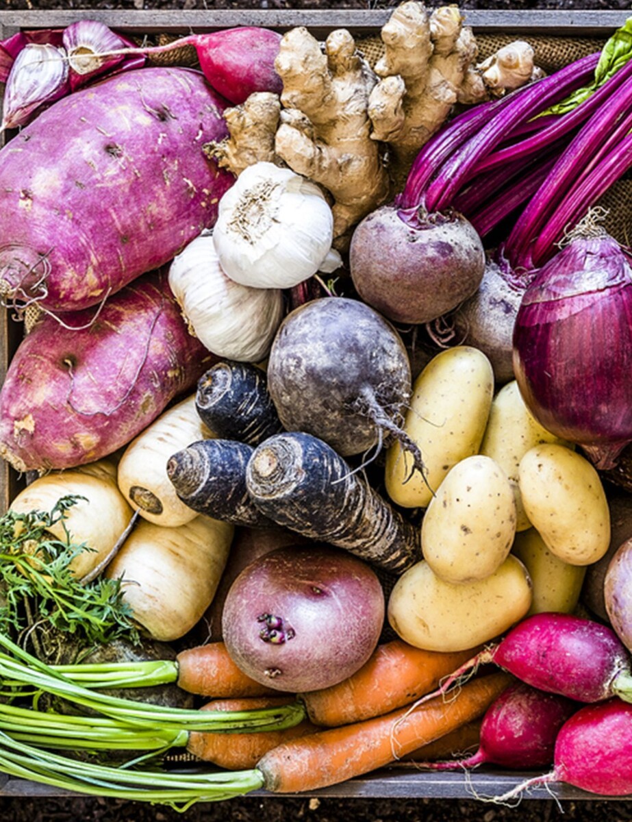 Légumes racines tropicaux
